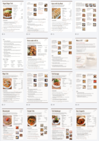 Japan Plant Based Recipe eBook